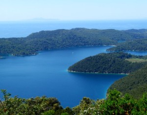 mljet